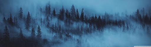 TEST 2